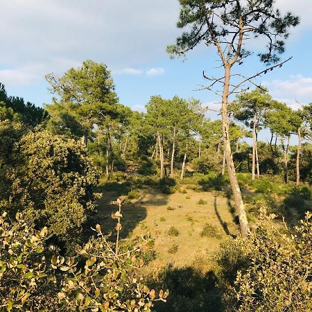 Standing, Luminosite A 100M De La Mer, T3 Prestige Saint-Hilaire-de-Riez Εξωτερικό φωτογραφία
