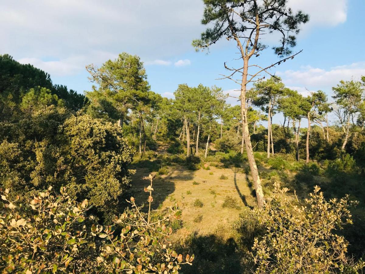 Standing, Luminosite A 100M De La Mer, T3 Prestige Saint-Hilaire-de-Riez Εξωτερικό φωτογραφία
